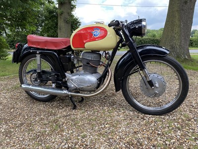 Lot 7 - 1954 MV Agusta 175