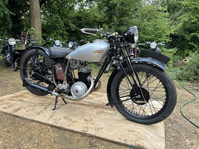 Lot 116 - 1931 AJW Silver Fox