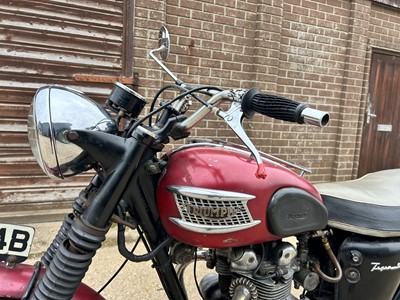 Lot 470 - 1964 Triumph Tiger 90