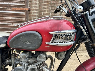 Lot 470 - 1964 Triumph Tiger 90