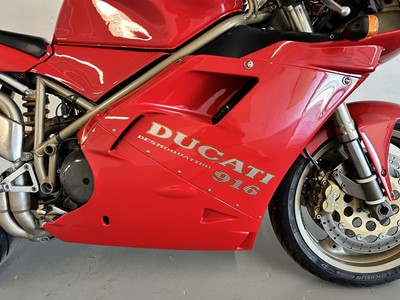 Lot 1995 Ducati 916