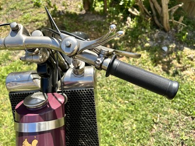 Lot 1925 Scott Super Squirrel