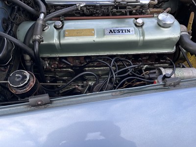 Lot 1962 Austin-Healey 3000 MkII