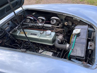 Lot 1962 Austin-Healey 3000 MkII