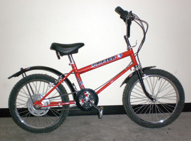 Lot 9 - Raleigh Grifter